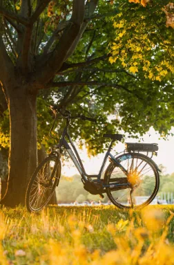 Vélo électrique dans un paysage naturel